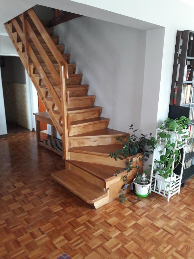 La Casa Del Mono Bed & Breakfast Ushuaia Bagian luar foto